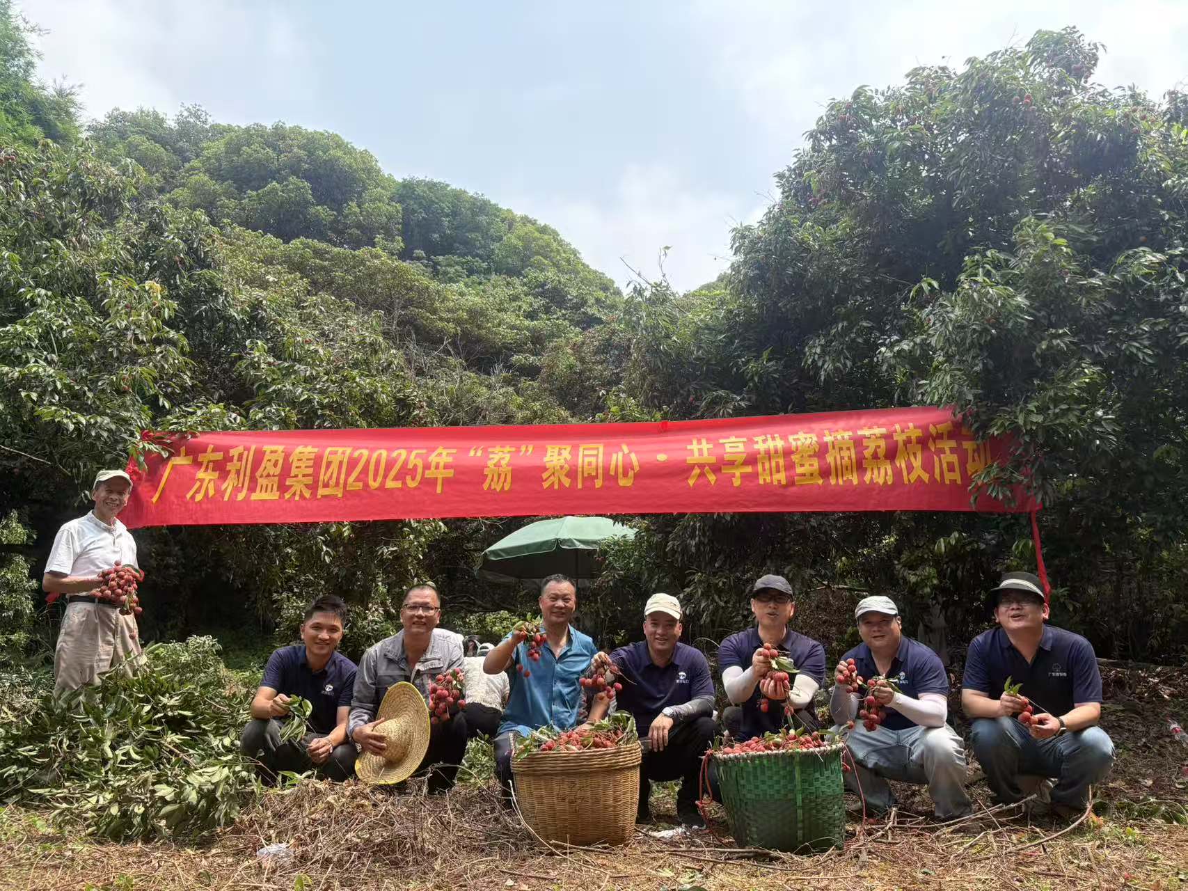 廣東利盈集團 2025 年“荔”聚同心·共享甜蜜摘荔枝活動