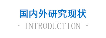 國內外研究現狀